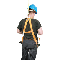 Harnais d'entrepreneur Titan de Miller, Certifi&eacute;e CSA, Classe AP, Cap. 400 lb Canadian Safety Group Inc.