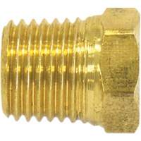 Pipe Plug (Hex Head), 1/2" Dia., Brass Canadian Safety Group Inc.