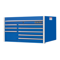 RX Series Tool Chest, 41" W, 8 Drawers, Blue Canadian Safety Group Inc.