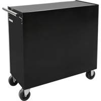 Industrial Tool Cart, 11 Drawers, 41" W x 18-3/4" D x 39-1/3" H, Black Canadian Safety Group Inc.