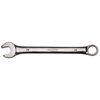 Cl&eacute; mixte, 12 pans, 6 mm, Fini Chrome Canadian Safety Group Inc.
