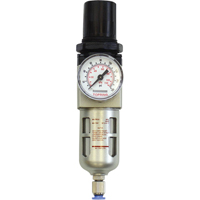 Modular Filter/Regulator, 1/4" NPT, 150 PSI, 0.5 fl.oz. Capacity Canadian Safety Group Inc.