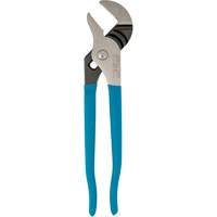 Pince multiprise &agrave; m&acirc;choire droite, 9-1/2" Canadian Safety Group Inc.