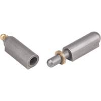 Charni&egrave;re &agrave; souder, 0,512" dia. x 3,15" lo, Acier doux a/goupille fixe en acier Canadian Safety Group Inc.