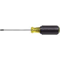 Tournevis Klein a/manche caoutchout&eacute;-Tournevis Torx &agrave; tige ronde Canadian Safety Group Inc.
