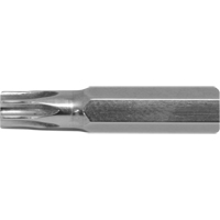 Stubby Multi-Bit Screwdriver -Replacement Bit, Torx, 15, 1/4" Drive Canadian Safety Group Inc.