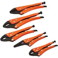 Straight Curved & Long Nose Locking Pliers Set, 5 Pieces Canadian Safety Group Inc.