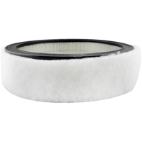 PA2073 Filtre &agrave; visser pour transmission Canadian Safety Group Inc.