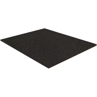 PA3835 Filtre pour transmission Canadian Safety Group Inc.