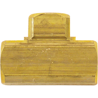 Female Pipe Tees, Brass, 1/4" Canadian Safety Group Inc.