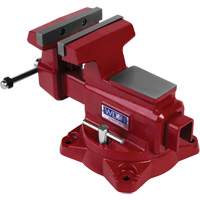 &eacute;tau d'&eacute;tabli utilitaire HD, Largeur des m&acirc;choires 6-1/2", Profondeur de la gorge 4-1/4" Canadian Safety Group Inc.