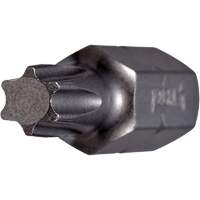 Insert Bit, Torx, 27, 1/4" Drive Canadian Safety Group Inc.