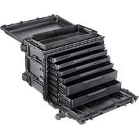 Gen 2 Mobile Tool Chest, 24" W, 6 Drawers, Black Canadian Safety Group Inc.