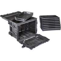 Gen 2 Mobile Tool Chest, 24" W, 6 Drawers, Black Canadian Safety Group Inc.
