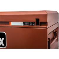 Site-Vault Chest, 48" x 30" x 36-3/4", Steel, Orange Canadian Safety Group Inc.