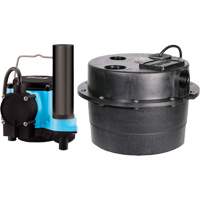 Pompe de puisard Drainosaur, 29 gal./min, 115 V, 9 A, 1/3 CV Canadian Safety Group Inc.