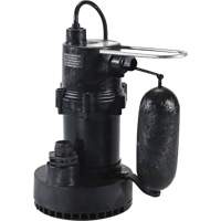 Pompe de puisard de s&eacute;rie 5.5, 35 gal./min, 115 V, 3,5 A, 1/4 CV Canadian Safety Group Inc.