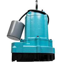 Pompe d'effluent de s&eacute;rie 9EC, 70 gal./min, 115 V, 7,5 A, 4/10 CV Canadian Safety Group Inc.