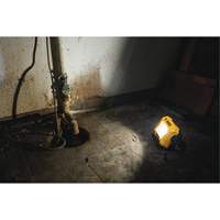 Lampe d'&eacute;clairage direct compact 12V/20V Max, DEL, 2000 Lumens Canadian Safety Group Inc.