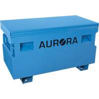 Coffre &agrave; outils de chantier, 48" x 24" x 27-3/5", Acier, Bleu Canadian Safety Group Inc.