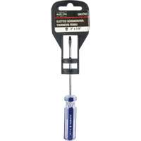 Blue Transparent Striped Slotted Screwdriver, 1/8" Tip, Round, Plastic Handle Canadian Safety Group Inc.