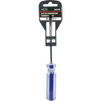 Blue Transparent Striped Slotted Screwdriver, 3/16" Tip, Round, Plastic Handle Canadian Safety Group Inc.