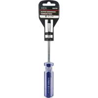 Blue Transparent Striped Slotted Screwdriver, 1/4" Tip, Round, Plastic Handle Canadian Safety Group Inc.