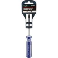 Blue Transparent Striped Philips Screwdriver, #1, Plastic Handle Canadian Safety Group Inc.