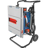 Jobsite Table Saw with Gravity-Rise Wheeled Stand, 120 V, 15 A, 3800 RPM Canadian Safety Group Inc.
