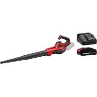Souffleuse universelle 110 pi3/min sans fil avec batterie 2,5 Ah et ensemble de d&eacute;part de chargeur, 18 V, Vitesse d'air 155,34 mi/h, &agrave; pile Canadian Safety Group Inc.