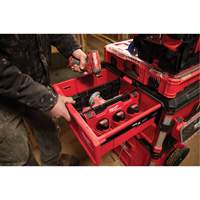 Divider for PACKOUT Drawer Tool Boxes Canadian Safety Group Inc.