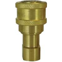 RACCORD HYDRAULIQUE FERM2VOIES,3/8"NPT,LAITON, Laiton/Acier inoxydable Canadian Safety Group Inc.