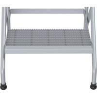Aluminum Step Stand, 2 Step(s), 22-13/16" W x 24-9/16" L x 20" H, 500 lbs. Capacity Canadian Safety Group Inc.