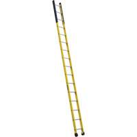 Single Manhole Ladder, 16', Fibreglass, 375 lbs., CSA Grade 1AA Canadian Safety Group Inc.