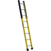 Single Manhole Ladder, 8', Fibreglass, 375 lbs., CSA Grade 1AA Canadian Safety Group Inc.