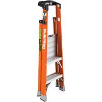 Escabeau avec plateforme Safespace, 2', Cap. De 300 lb Canadian Safety Group Inc.