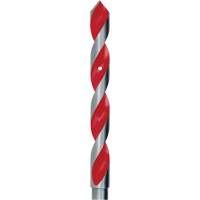 Bellhanger Installer Bit, 1/4", High Speed Steel, 4" Flute Canadian Safety Group Inc.