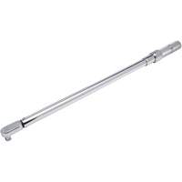 Fixed Head Micrometer Torque Wrench, Click, 1/2" Square Drive, 50-250 ft-lbs. Canadian Safety Group Inc.