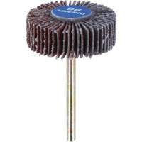 M&egrave;che de ponçage &agrave; roue &agrave; lamelles 3/8" - grain 80 Canadian Safety Group Inc.
