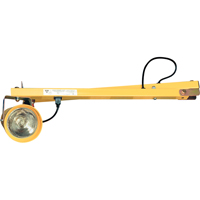 Dock Lights, 60" Arm, Incandescent Lamp, Metal Canadian Safety Group Inc.