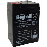 Sealed Lead Acid Batteries, 6 V, 5 Ah Canadian Safety Group Inc.