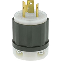 Prise mise &agrave; la terre verrouillable &agrave; deux bornes et trois fils, Nylon, 20 A, 250 V, L6-20P Canadian Safety Group Inc.