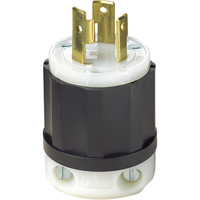 Dispositif verrouillable de qualit&eacute; industrielle, Nylon, 30 A, 125 V, L5-30P Canadian Safety Group Inc.