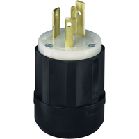 Dispositif verrouillable de qualit&eacute; industrielle, Nylon, 30 A, 250 V, L6-30P Canadian Safety Group Inc.