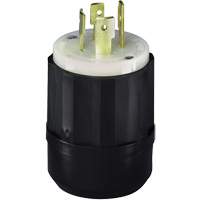 Prise mise &agrave; la terre verrouillable &agrave; trois bornes et quatre fils, Nylon, 20 A, 250 V, L15-20P Canadian Safety Group Inc.