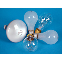 Incandescent Lamps - Long Life Canadian Safety Group Inc.