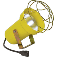 Dock Lights - Accessories Canadian Safety Group Inc.