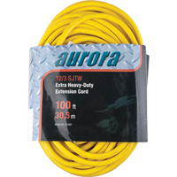 Vinyl Extension Cord, Outdoor, SJTW, 12/3 AWG, 15 A, 100' Canadian Safety Group Inc.