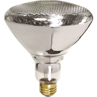 Economy Line Incandescent Lamps Canadian Safety Group Inc.
