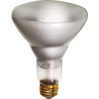 Economy Line Incandescent Lamps Canadian Safety Group Inc.